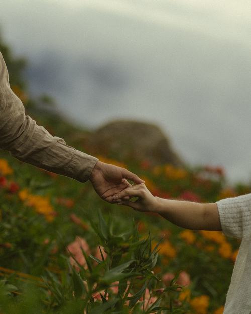 Their hands meeting above the flowers, against an open sky.